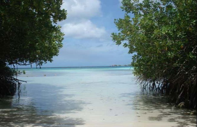 South Aruba Guided Tour - Foto 4