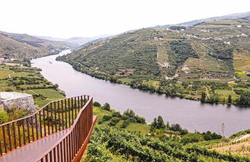 Sobreiro's Villa in Douro Valley - Photo 45