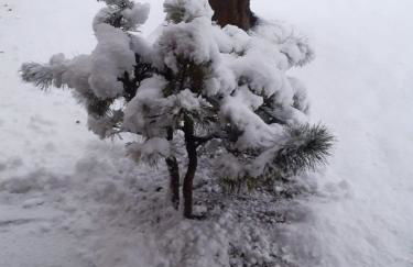 Maso Pinterato - Foto 57