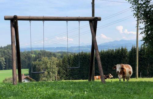 Zweizimmer-Apartment - Foto 17