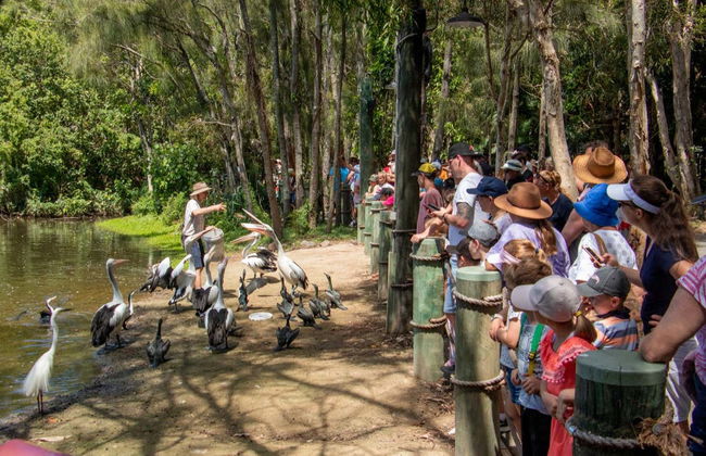 Currumbin Wildlife Sanctuary Ticket - Foto 4