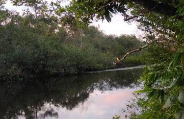 Férias Perfeitas, Praia e Piscina - Photo 19