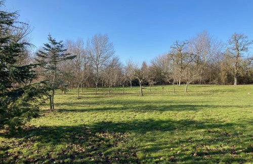 Granary Cottage - Foto 23