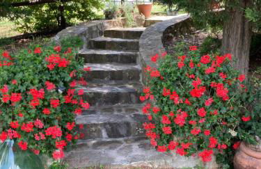 Salto di Gatto - Foto 42