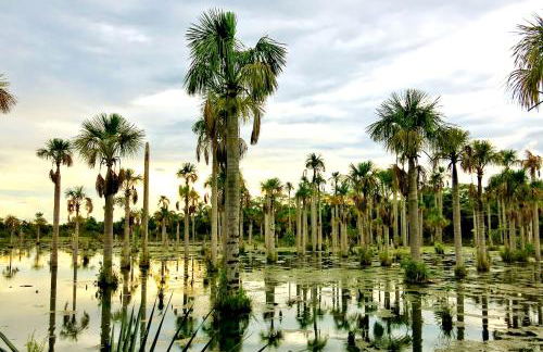 Chalé Container Nobres Asa Própria - Foto 22