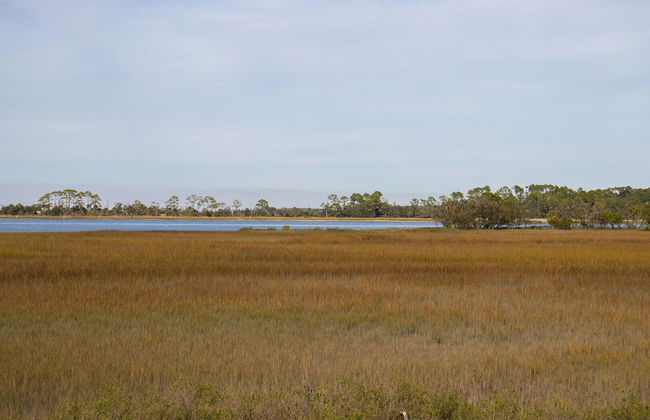 Stunning Marsh & Water Views in This Completely Renovated Three Bedroom Home - Foto 58