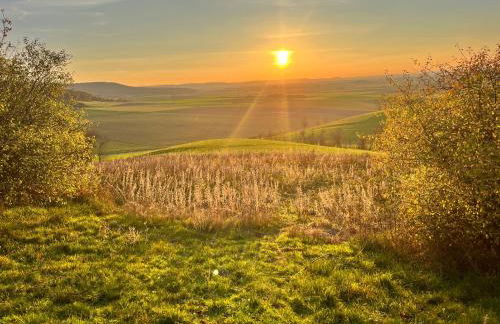 Ferienhaus Ickelhaus 1 - Foto 37