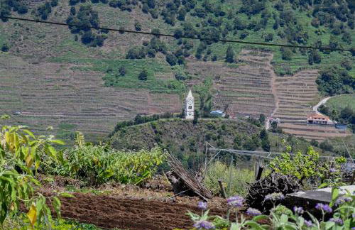 Casa do Cantinho do Muro - Foto 10