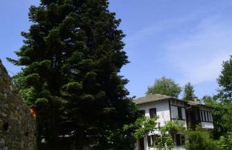 Guesthouse To kalivi - Foto 7