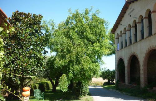 Mas Puig Roig - Foto 33