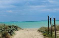 ENDLESS SUMMER APARTMENTS - Photo 21