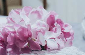 Ocean Breeze - Photo 46