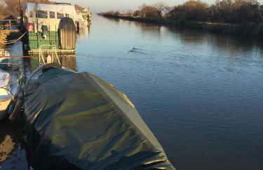 Mas Viala - Photo 20