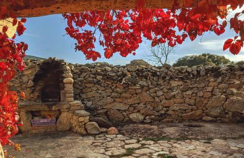 La Candileja - Foto 33