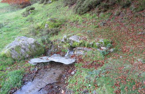 Apartamentos Rurales Casa Baltasar - Foto 37