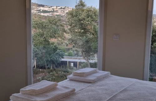 Herdade do Montinho - Foto 33