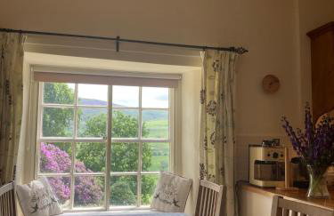 Plas yn iâl with stunning mountain views - Foto 28