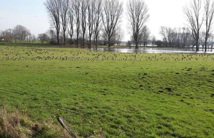 Ferienwohnung Eulenturm - Foto 44