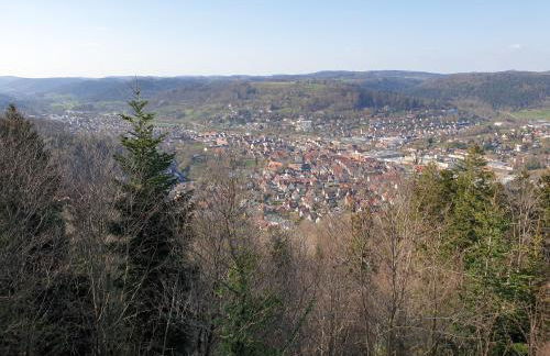 Lana Salta Alpakas - Gemütliche Ferienwohnungen auf dem Bauernhof - Photo 17