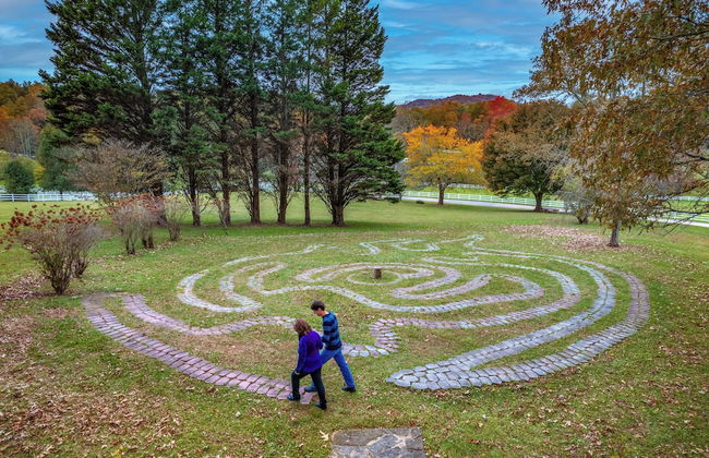 The Horse Shoe Farm - Foto 64