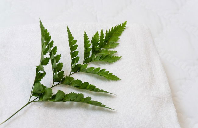 Rivergate Apartment - MM Home - Foto 51