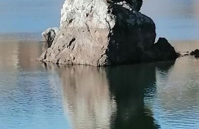 Le chant de l'ègue - Foto 3