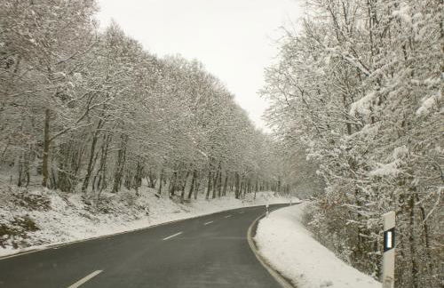Landhaus Waldlehne - Foto 11