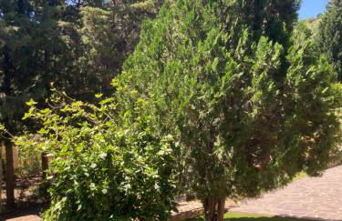 Villa Lidia per una vacanza di relax - Foto 24