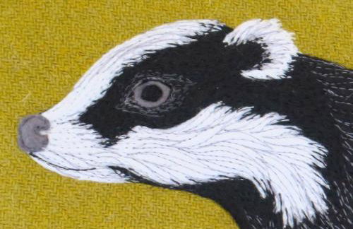 Badgers Den - Foto 15