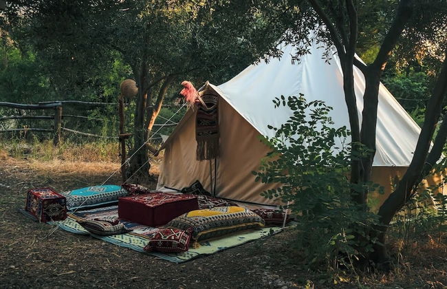 Kelebekler Vadisi Butterfly Valley - Foto 68