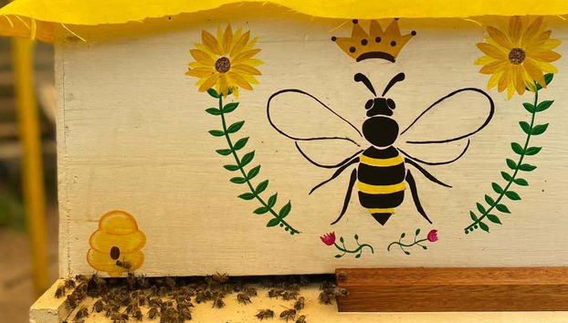 Você descobrirá todos os segredos das abelhas