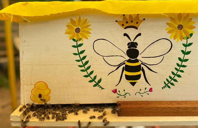 Tour do mel por Jardín - Foto 3