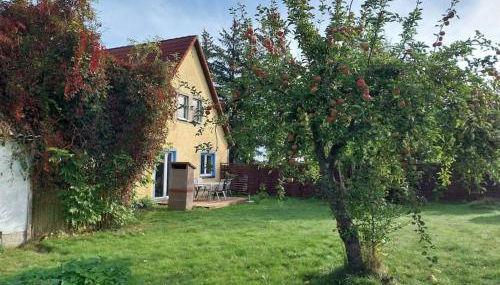 Ferienwohnung Naturglück - Foto 4, Garden