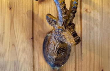 Charming, cosy chalet nestled in a breathtaking surrounding with spectacular, stunning mountain views - Foto 33