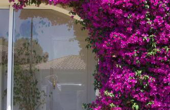 Villa Mediterránea - Foto 8