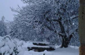 Case de Campo "El Caroche" Alojamientos, Retiros y Eventos - Foto 79