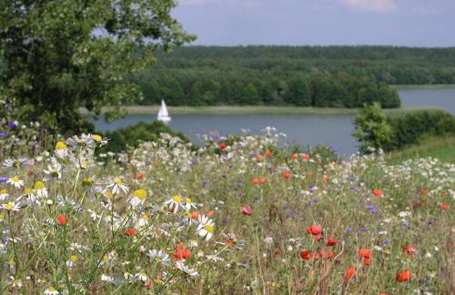 Kamienny Ogród Holiday Park - Foto 87