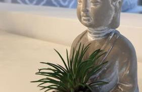 Moderne Einliegerwohnung am Wald - Foto 14