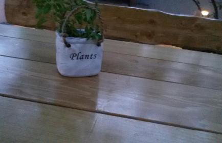 Olive Garden Apartments - Photo 39