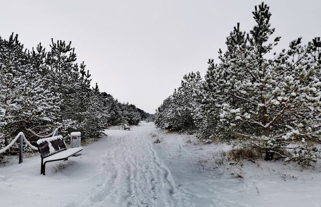 Huebsche Ferienwohnung in Lubmin mit Blick auf Ruegen - Foto 20