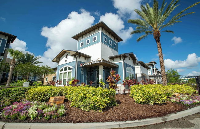 Century Millenia - Foto 1