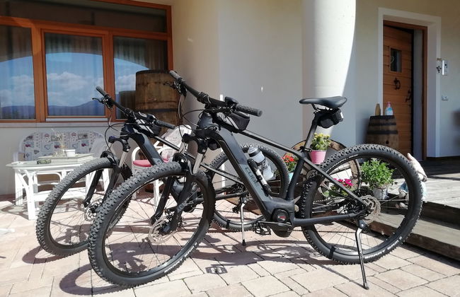 Horse House - Foto 58