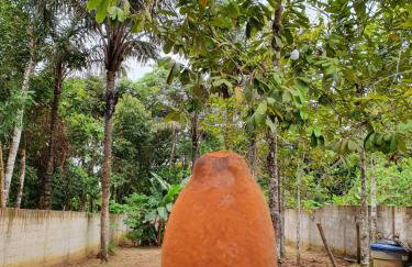 Casa Apuaú - Foto 10