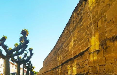 El Rincón de Pilar - Foto 10