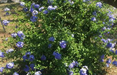 Baita Chalet del Colle - Foto 39