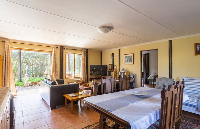 Experience Nature at Brenton on Sea With Breakers Dolphins and Whales - Foto 22