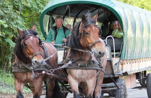 Ferienwohnung Baumann - Foto 17