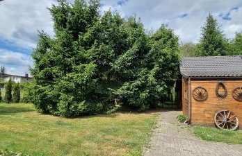 Villa Fantastica Apartments - Foto 3