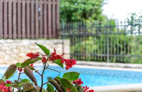 Rustic Villa Marija with panoramic view in Zrenj - Foto 22