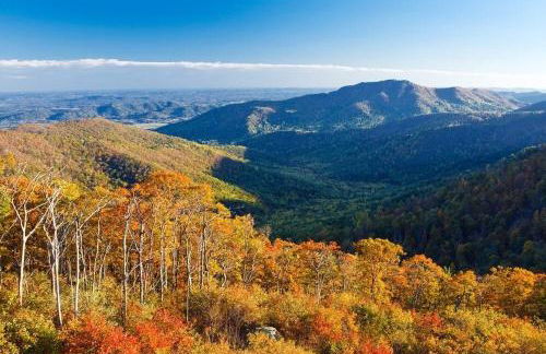 Hidden Gem on Hidden Valley Lane - Photo 23